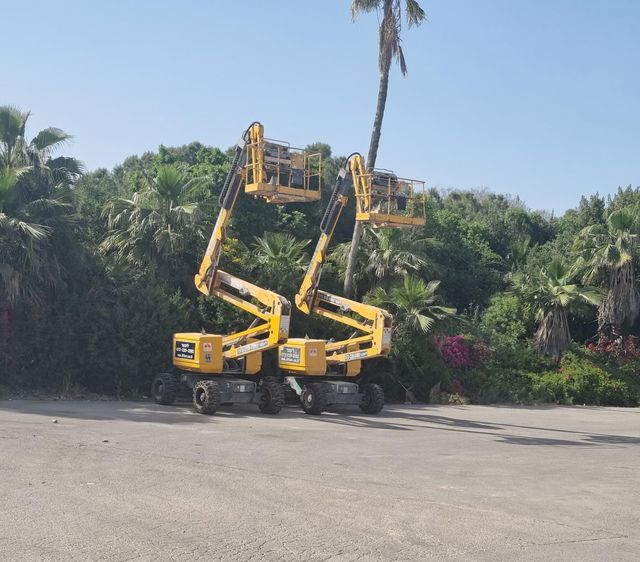 לקטלוג במות ההרמה של ליפטר