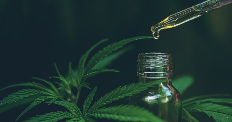 שמן CBD_ אלו התסמינים הפיזיים והנפשיים שאיתם ניתן להתמודד באמצעותו
